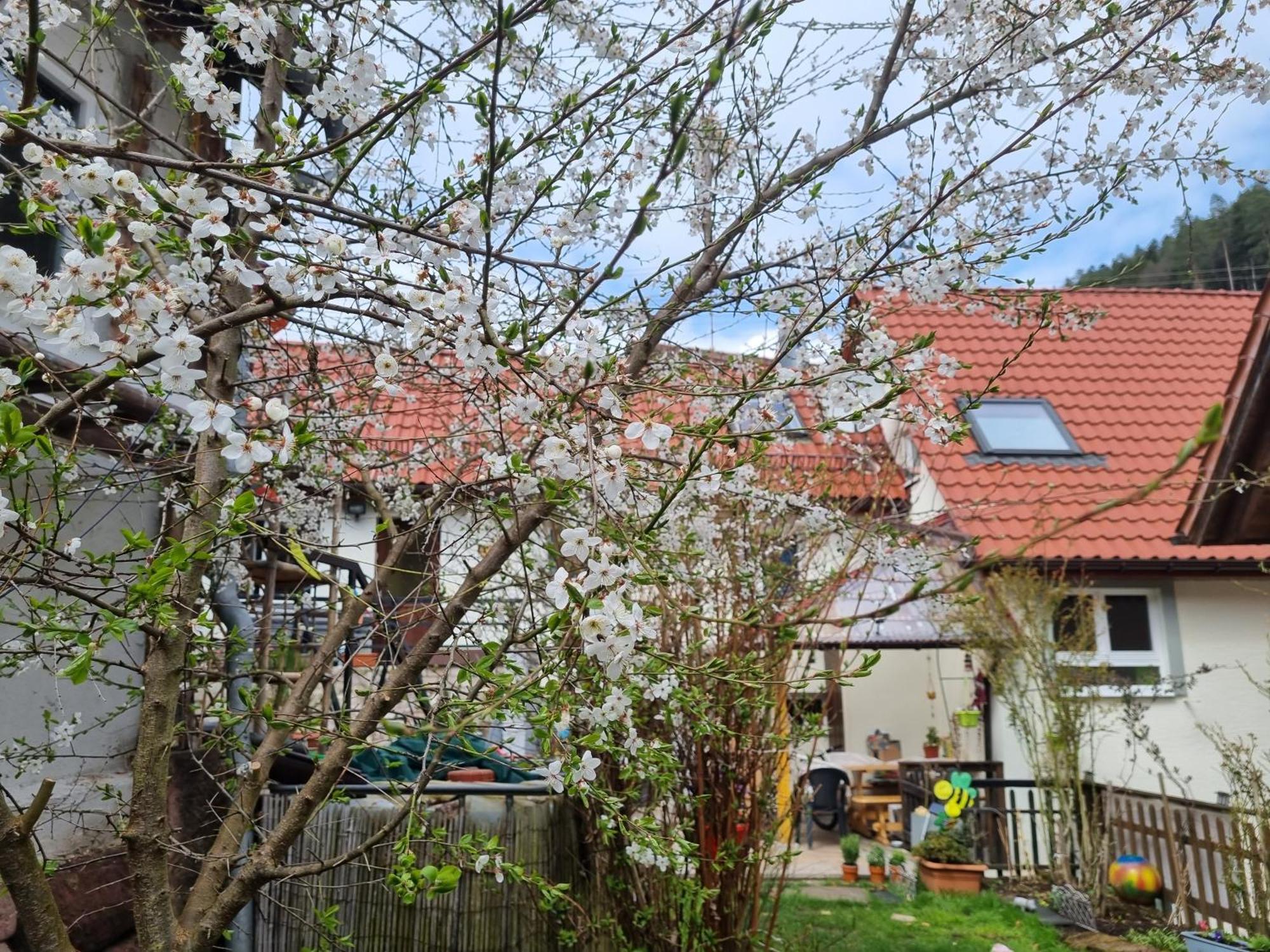 Ferienwohnung Tal-Eck Bad Teinach-Zavelstein Exterior foto