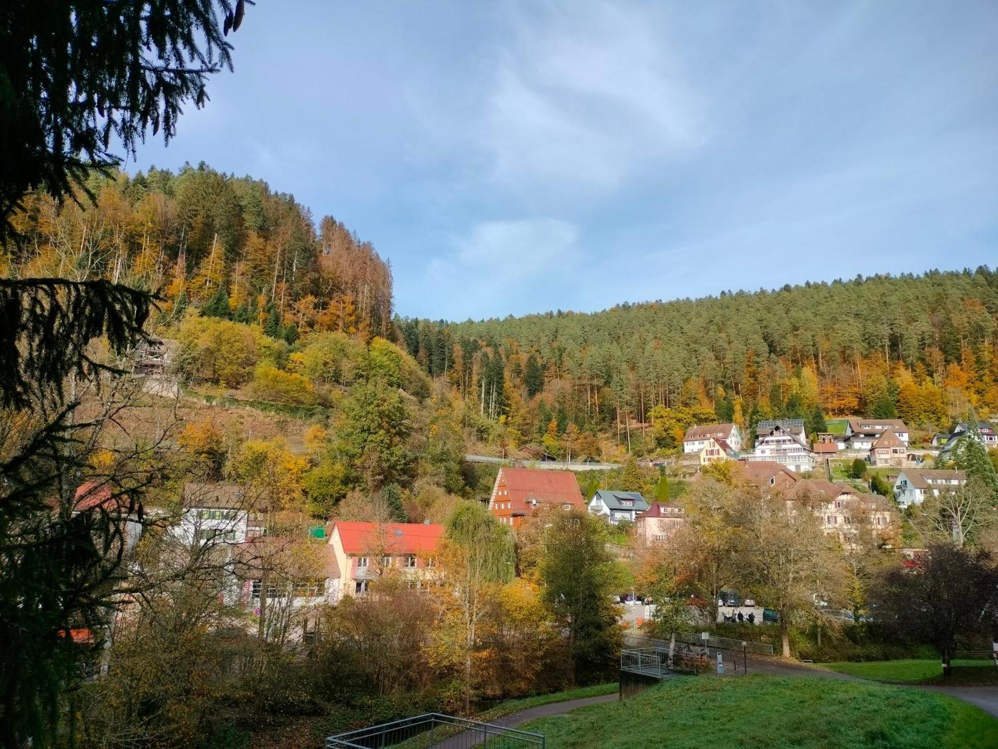 Ferienwohnung Tal-Eck Bad Teinach-Zavelstein Exterior foto